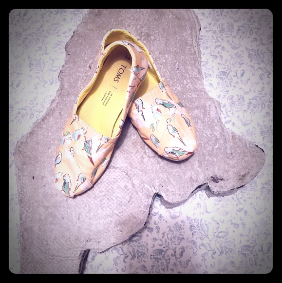 Toms Shoes - Toms size 6 slip-on